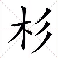 杉意思|杉字的解释